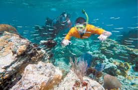 We did not find results for: St John The Divine