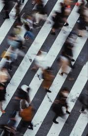 Sandra Vitello (sandiamo)