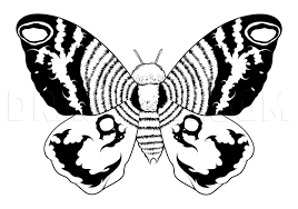 Producing halloween coloring pages could be the suitable holiday task for you in addition to the children! How To Draw Mothra Mothra Step By Step Drawing Guide By Kingtutorial Dragoart Com