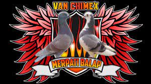 Gambar burung cendet (pentet) png. Cara Membuat Logo Burung Merpati Di Android Tutorialpixellab Tutorialpicsart Cute766