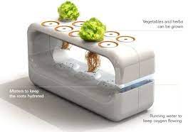 Recovery means the nutrient solution will be reused into the system. Indoor Hydroponic Systems The Perfect Idea For A Home Garden