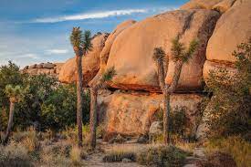 We did not find results for: California Landscapes Top Photography Locations In California Phototraces