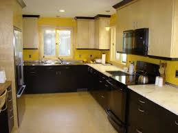 1950's ranch house kitchen remodel