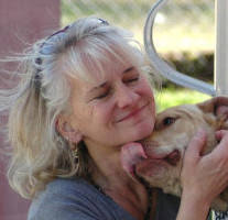 Holy Dogs and Asses: Animals in the Christian Tradition: Amazon.co.uk:  Hobgood-Oster, Laura: 9780252032134: Books