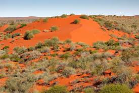Pustynie australii, australijskie pustynie (pl). Australian Desert Animals In The Simpson Desert The Wildlife Diaries