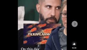 Soap-soaked cotton balls aren't a reliable method for removing ticks,  contrary to recurring viral claim