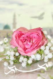 الل هم ص ل و س ل م ع ل ى ن ب ي ن ا م حم د و ع ل ى آل هہ و ص ح ب ه ہ أ ج م ع ين صلی الل ہ تعالی علیہ وآلہ واص islamic images madina green dome