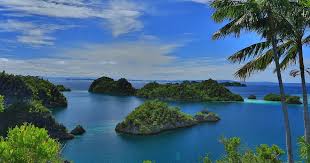 Waiwo dive resort terletak di pinggir pantai, menyajikan pemandangan yang. Pin Di Kumpulan Gambar