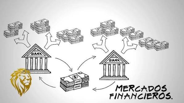 Paso 1: Comprender como funcionan los mercados financieros, LionTrader
