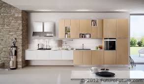 Exposed Cabinet Inserts Arredo3 Asia Kitchen Futuro Futuro Ravenna Wall Range Hoods 2 Jpg 1306 7 Interior Design Kitchen Modern Kitchen Set Kitchen Wall Units