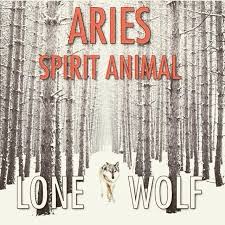They are similar to foxes in the sense that appearances can be deceiving. It Definitely Seems To Always End Up Being That Way In My Life Not Sure If It S A Good Thing Or Not Aries Aries Zodiac Aries Love