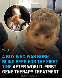 In a remarkable medical breakthrough, a young boy from Connecticut named  Jace is among four children born with profound vision loss who have  experienced transformative improvements in their eyesight.