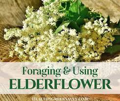How to use elder flowers. What Is Elderflower Elderflower Benefits Recipes