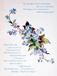 Forget Me Not Flower Poem Forget Me Not Little Flowers
