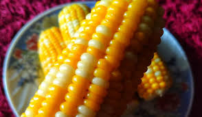 Cara rebus jagung manis yang enak dengan kulitnya. Rebus Jagung Nak Lagi Sedap Rasanya Ikut Cara Ni Keluarga