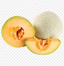 Cantaloupe Png Png Image With Transparent Background Toppng ✓ free for commercial use ✓ high quality images. toppng