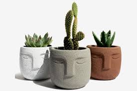 Sent from and sold by bargains 4 ever. The Best Pots And Planters On Amazon In 2021 Concrete Head Planters Face Vase Head Planters