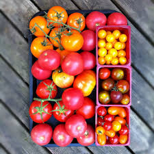 Under the High Chair: A Harvest Dinner