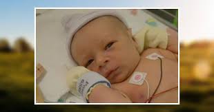 Asher Steinhauer Obituary February 26, 2015