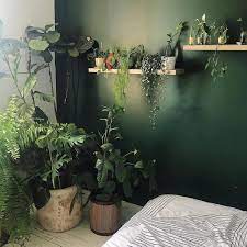 Photo Courtesy Plantmama Via Instagram Meditation Room Decor Meditation Rooms Meditation Room Diy