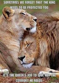 Maybe you would like to learn more about one of these? Anicklebitome Sometimes Lion Quotes Lioness Quotes Lion Love