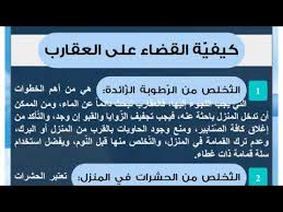 اسباب وجود العقارب في المنزل. Ø§Ø³Ø¨Ø§Ø¨ ÙˆØ¬ÙˆØ¯ Ø§Ù„Ø¹Ù‚Ø§Ø±Ø¨ ÙÙŠ Ø§Ù„Ù…Ù†Ø²Ù„ Bcartsales Org