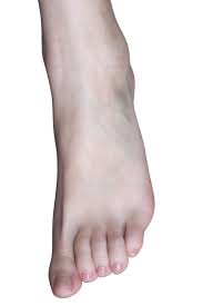 Stairs, a table, a hill, a page, etc.); Foot Simple English Wikipedia The Free Encyclopedia