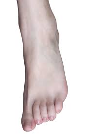 The part of the body at the bottom of the leg on which a person or animal stands: Foot Simple English Wikipedia The Free Encyclopedia