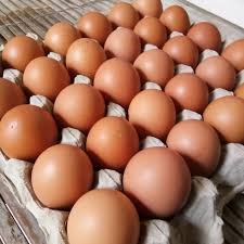 Maybe you would like to learn more about one of these? Jual Telur Ayam Negeri Jakarta Pusat Toko Telur Atju Tokopedia