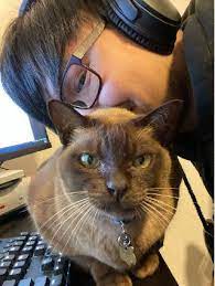 Working on her as degree to become a certified technician. Pet House Sitting In Melbourne With Best Prices On Petbacker