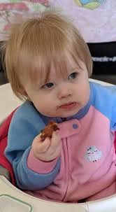 Emmy enjoying her first Jeff's Bakery apple fritter!