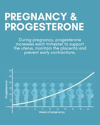 Image result for Progesterone