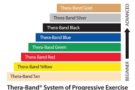 Theraband Professional Resistance Bands 50 Yard Roll