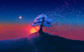 Fading Tree Music Indieartist Chicago Tree Sunset Wallpaper Sunset Wallpaper Scenery Wallpaper