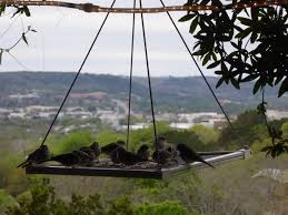 Homemade Bird Feeders For Small Birds Only 15 Minute Wild Bird Feeder Wild Bird Feeders Wild Birds Backyards Bird Feeders