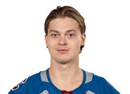 Elite Simulated Hockey League