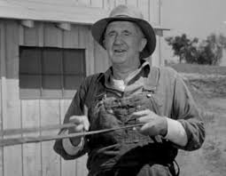 Grampa Mccoy From The Real Mccoys Remember How He Always Pumped His Arms Beth Cahill Old Tv Shows My Childhood Memories Classic Tv