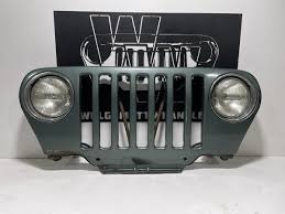 Image result for Medium Fern 1995 Chrysler