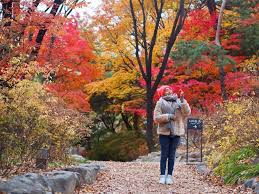 Itinerari Dan Kos 9h 8m Ke Korea Di Musim Luruh Kakitravel Net