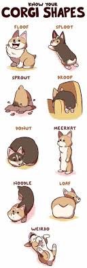 Know Your Corgi Shapes 3 Album On Imgur Corgi cartoon 1 of 27. know your corgi shapes 3 album on imgur