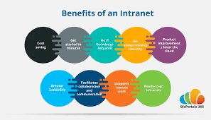 Big Benefits Of An Intranet On Office 365 Office 365 Security Communication Tools Employee Management