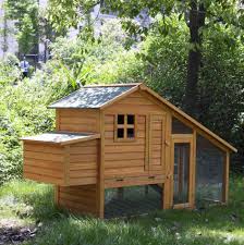 A Nice House For The Pet Chickens Taizhou House Styles Fish Tank