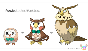 Rowlet Pokemon Evolution Chart Bedowntowndaytona Com