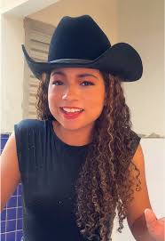 Meu Amado: A Nova Música do Sertanejo