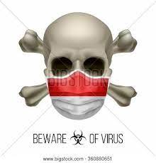 Josh paler lin and leia se have reportedly had their. Human Skull Vector Photo Free Trial Bigstock