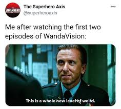 A Collection Of The Funniest Wandavision Memes