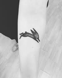 Check spelling or type a new query. Watership Down Tattoo Rabbit Tattoos Fire Tattoo Tattoos