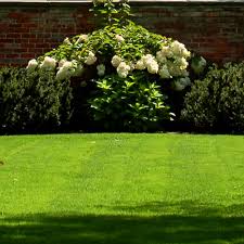 Magent and pagent add on 1 8 only minecraft how to get hair dye out of clothes you must have observed that injuries can appear which bring about adverse the garments. How To Get Rid Of Grass