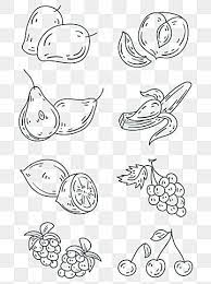 Fruit Cartoon Black And White Lines Vector Doodle Decorative Elements Collection Pineapple Watermelon Grape Png And Vector With Transparent Background For Fr Fruit Cartoon Black And White Lines Black And White