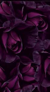 Wallpaper Backgrounds In 2020 Purple Flowers Wallpaper Flower Wallpaper Purple Wallpaper